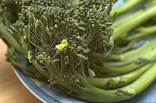 Broccolini Broccolini