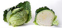 Cabbage Cabbage