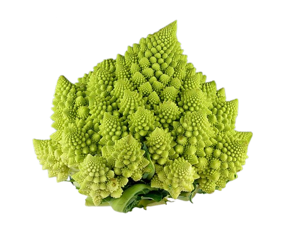 Romanesco